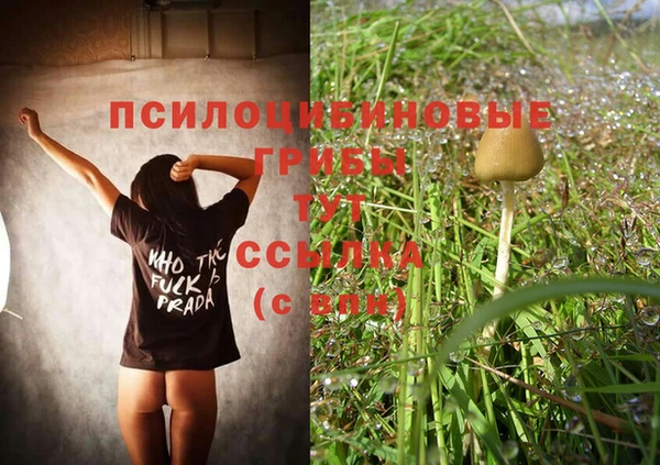 стаф Михайловка