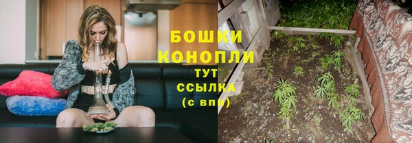 стаф Михайловка